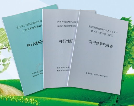 可行性研究报告